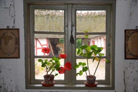 Geraniums in an old barred window and with a view out onto a half-timbered courtyard with a
