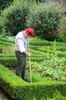 Man working in kitchen garden with boxwood hedges in Den gamle by, The old village, open air museum