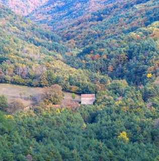Autumn forested valley landscape with farm barn building near Echo or Hecho, Valle de Hecho, Huesca