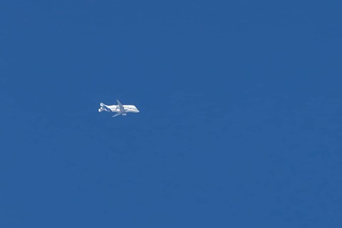 Airbus A330-743L Beluga XL cargo jet aircraft flying in a blue sky, England, United Kingdom