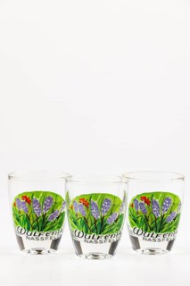 Three shot glasses decorated with floral design on a white background