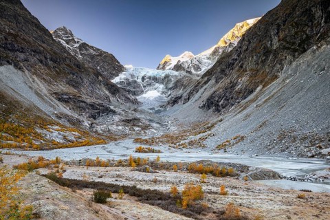 Glacier valley with autumnal larches, Ferpecle glacier, Val d'Herens, Canton of Valais, Switzerland
