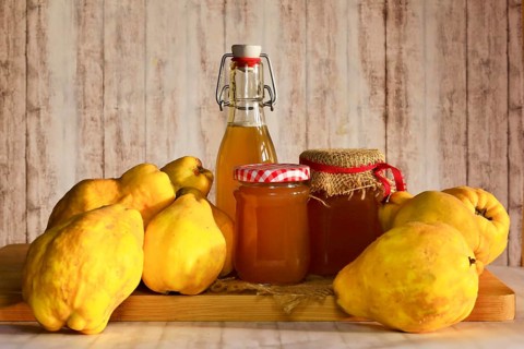 Still life with quinces, homemade quince jelly and quince liqueur, autumn, Germany