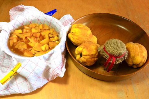 Make your own quince jelly, quinces in a bowl, Germany