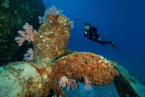Diver intentionally regards large propeller from 2018 as an artificial reef attraction for scuba