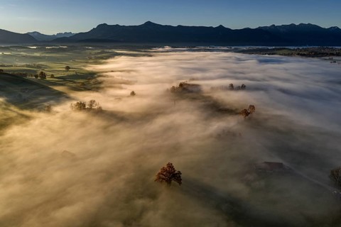 Tree, oak, mountains, sunny, morning light, autumn, autumn discoloration, fog, aerial view, view of