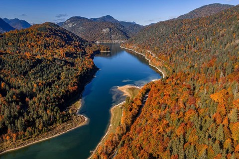 Mountain lake, mountains, sunny, morning light, autumn, autumn color, forest, aerial view,