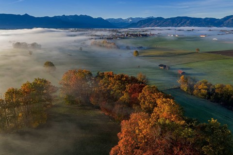 Trees, oaks, beech trees, sunny, morning light, autumn color, fog, aerial view, Riegsee, view of