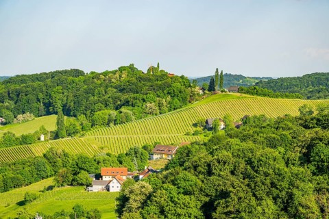 Landscape of the wine yards growing on the hills of southern styria, Austria