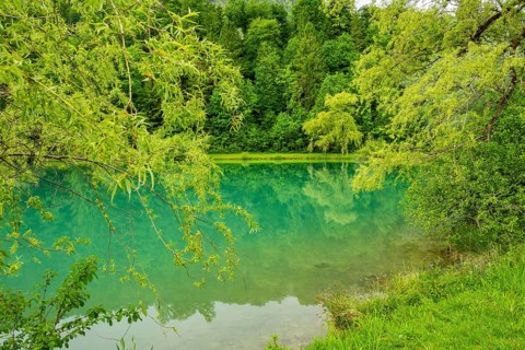 Landscape of Lake Elisabethsee on a rainy day in spring, Austria