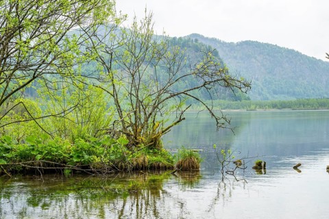 Landscape of Lake Almsee on a rainy day in spring, Salzkammergut, Austria