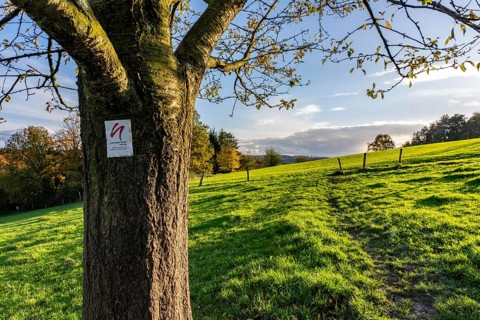 Autumn landscape in Elfringhauser Switzerland, south of Velbert-Langenberg, part of the Neanderland