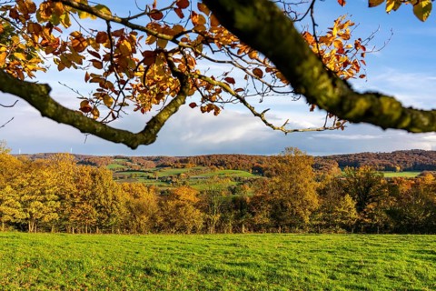Autumn landscape in Elfringhauser Switzerland, south of Velbert-Langenberg, Germany