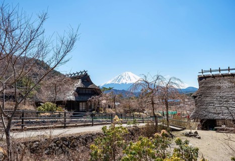 Iyashinosato open-air museum, old Japanese village with traditional houses, at the back volcano Mt.