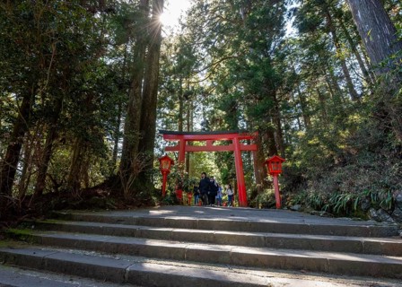 Trail through the forest with red torii, Hakone shrine, Shinto shrine, with sun star, Hakone, Japan