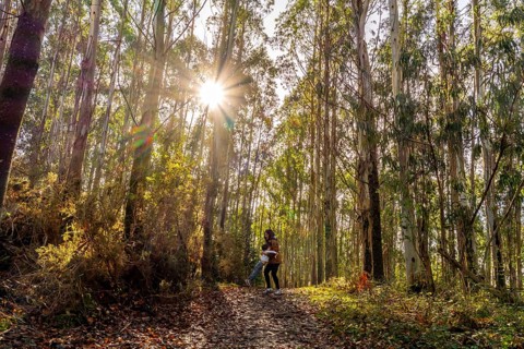 Happy mother spinning her child on a forest path, creating a joyful moment under the sunburst in