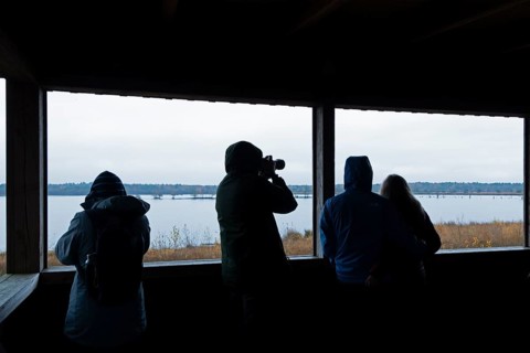Bird watchers in the observation tower, Tister Bauernmoor, Tiste, Samtgemeinde Sittensen, Lower
