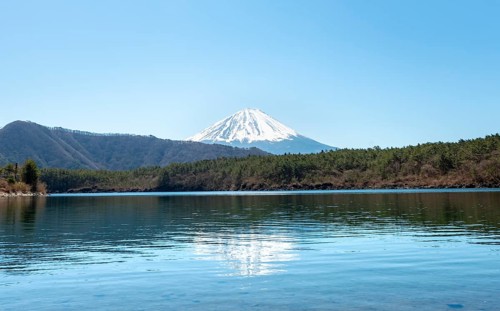 Lake Saiko and volcano Mt. Fuji, Minamitsuru District, Yamanashi Prefecture, Japan