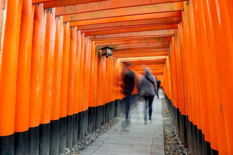 Visitors on a journey through hundreds of red traditional torii gates, Fushimi Inari-taisha, Shinto