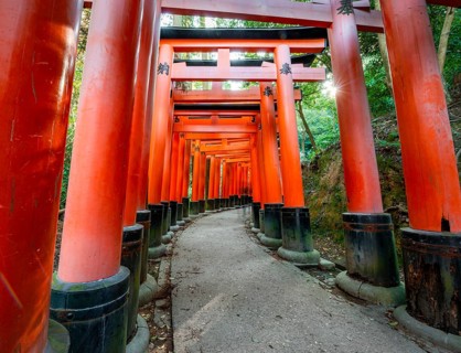 Walk through hundreds of red traditional torii gates, Fushimi Inari Taisha, Shinto Shrine, Sun