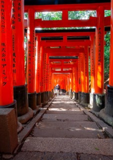 Walk through hundreds of red traditional torii gates, Fushimi Inari Taisha, Shinto Shrine, Fushimi