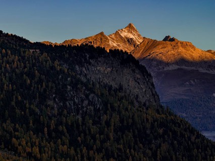 Mountain landscape, larch forest, autumn, autumn color, morning light, aerial view, Engadin,