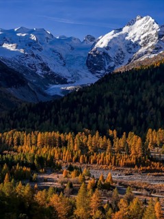 Mountain landscape, larch forest, autumn, autumn discoloration, morning light, aerial view,