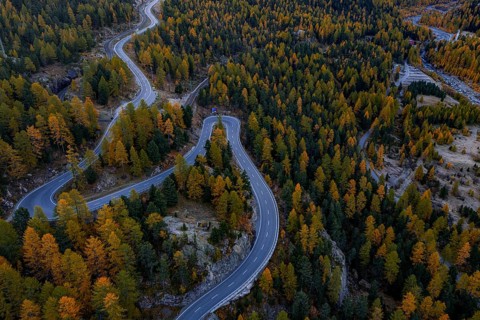 Mountain landscape, road, curvy, serpentines, larch forest, autumn, autumn discoloration, aerial