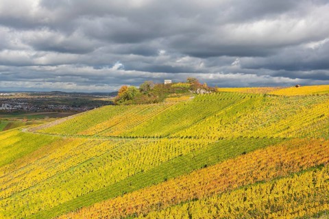 Colourful vineyards spread out under a cloudy sky. Autumn colors dominate the hilly landscape,