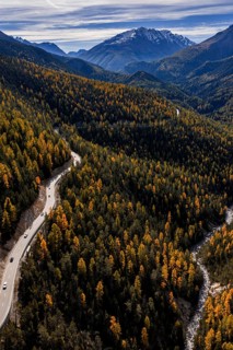 Road, curvy, mountain landscape, wild, unspoiled, coniferous forest, sunny, riverbed, autumn, larch