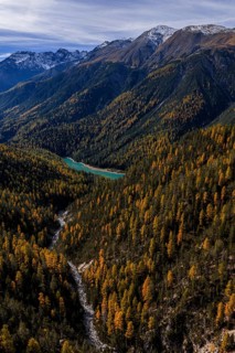 Mountain landscape, wild, untouched, coniferous forest, sunny, riverbed, autumn, larch forest,