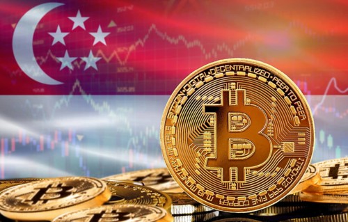 Investors in cryptocurrency and Blockchain Technology in Singapore, Concept. Bitcoin with Singapore