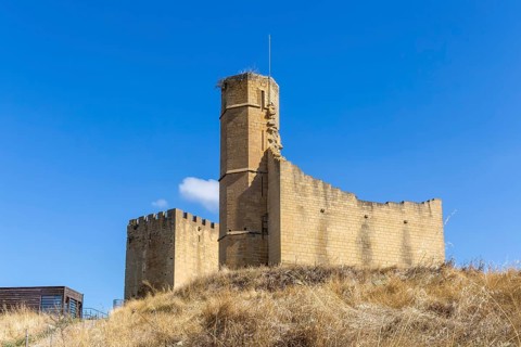 Castle and palace ruin in medieval village of Uncastillo, Cinco Villas, Zaragoza province, Aragon,