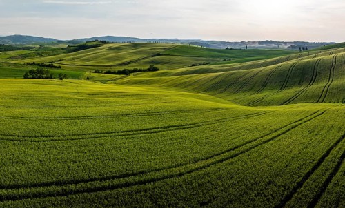 Hilly fields near Pienza, Val d'Orcia, Tuscany, Italy