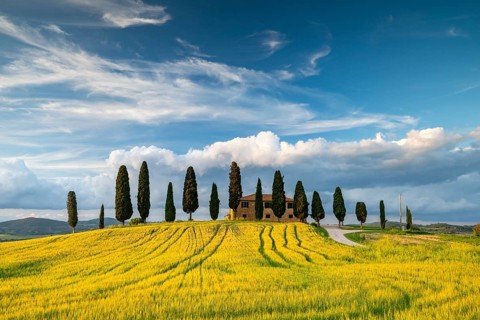 Villa i Cipressini, estate with cypresses (Cupressus), Val d'Orcia, near Pienza, Siena Province,