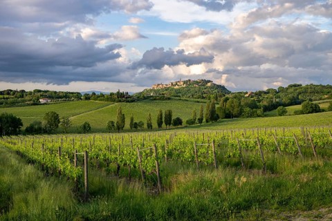 View of Montepulciano, Siena Province, Tuscany, Italy