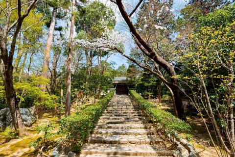 Staircase in the Japanese garden of Ryoan-ji, a Buddhist temple complex, in spring, Kyoto, Japan