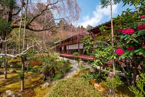 Japanese garden, Ryoan-ji temple, Zen Buddhist temple complex, in spring, Kyoto, Japan