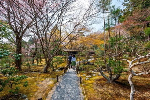 Visitors on a path in the Japanese garden of Ryoan-ji Temple, Zen Buddhist temple complex, in