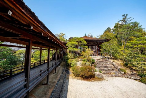 Japanese Garden, North Garden, Kitaniwa or Hokutei Garden, Ninna-ji Goths, Buddhist Temple Complex,