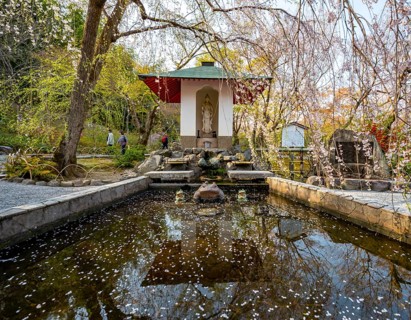 Fountain under a blooming cherry tree, Sogenchi Teien Japanese Garden, Tenryu-ji, Zen Buddhist