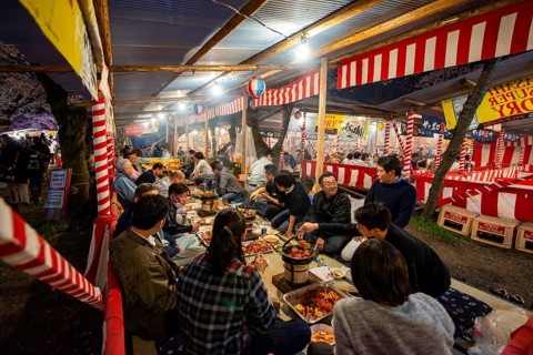 Cherry Blossom Festival, Hanami, Japanese eating grilled food at a long table, evening mood, Hirano