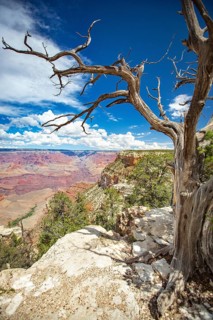 Beautiful landscape of the grand canyon, arizona