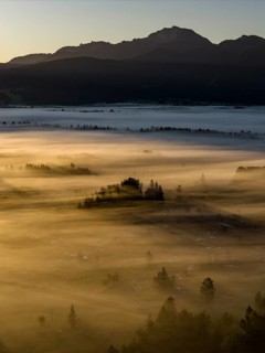 Fog, clouds of fog, trees, back light, sunrise, mountains, aerial view, Loisach-Lake Kochel-Moore,