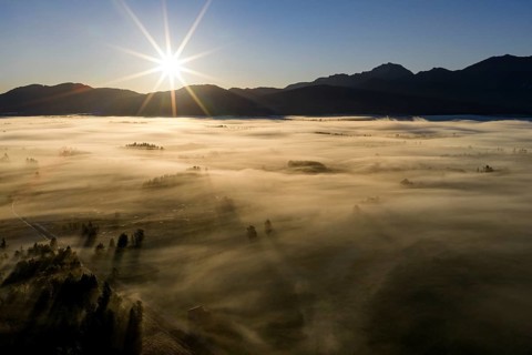Fog, clouds of fog, trees, back light, sunrise, mountains, aerial view, Loisach-Lake Kochel-Moore,