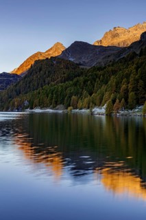 Mountain lake, reflection, mountains, larch forest, autumn discoloration, autumn, sunrise, Lake