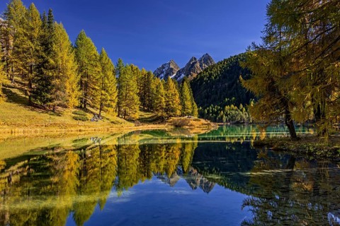 Mountain lake, reflection, mountains, larch forest, autumn discoloration, autumn, sunny, Lake