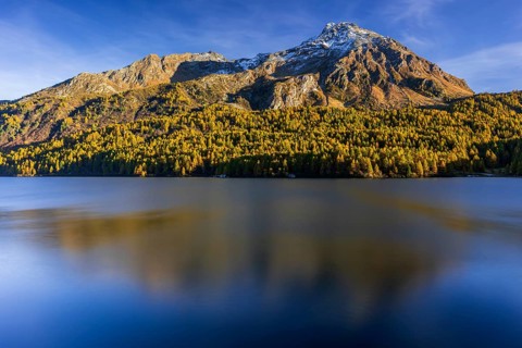 Mountains are reflected in lake, evening light, larch, autumn, autumn color, Lake Sils, Engadin,
