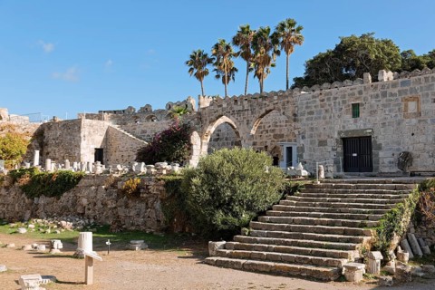 Entrance, staircase, palm trees, fragments from Roman times, olive tree, Neratzia fortress, also