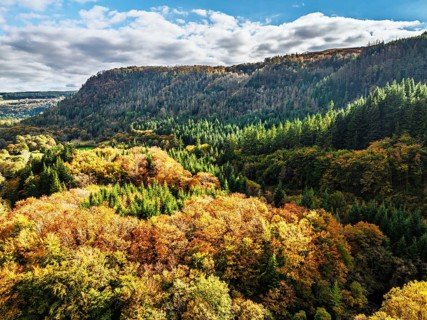 Autumn colours over Gwydir Forest Park from a drone, Afon Lledr, Road A470, Snowdonia, Eryri,